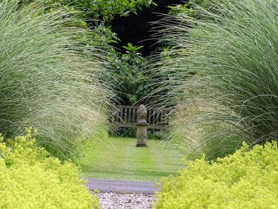 Frauenmantel (Alchemilla), Chinaschilf (z. B. Miscanthus sinensis ‚Morning Light‘) und Federgras (Stipa)