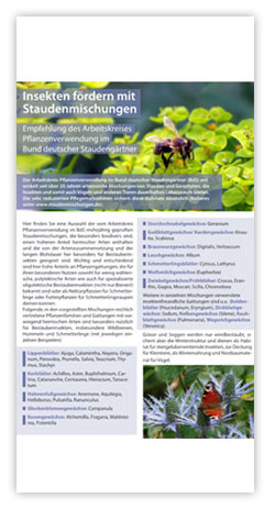Broschüre: Insekten fördern mit Staudenmischungen