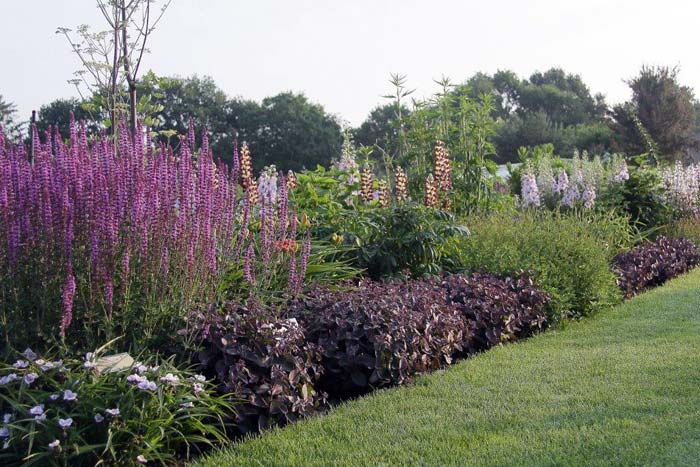 Garten der Horizonte - Stauden.de